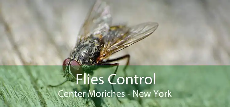 Flies Control Center Moriches - New York