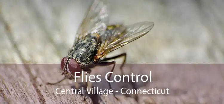 Flies Control Central Village - Connecticut