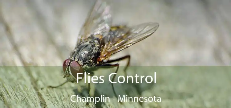 Flies Control Champlin - Minnesota