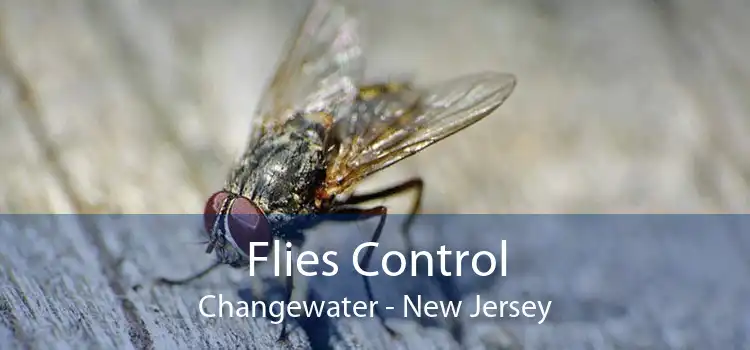 Flies Control Changewater - New Jersey