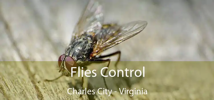 Flies Control Charles City - Virginia