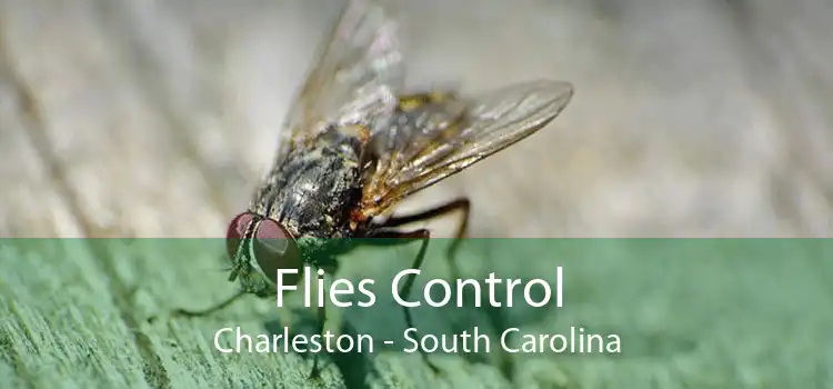 Flies Control Charleston - South Carolina