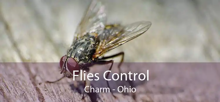 Flies Control Charm - Ohio