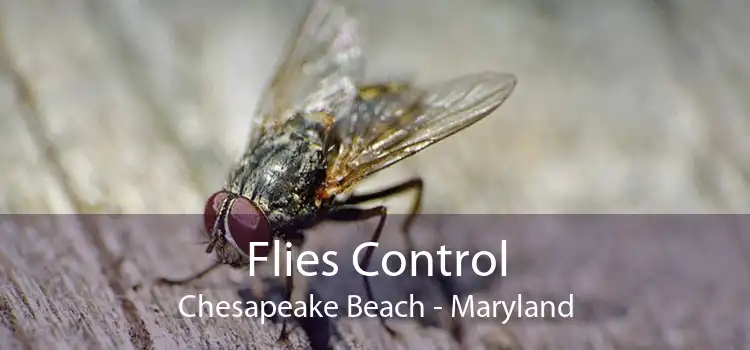 Flies Control Chesapeake Beach - Maryland