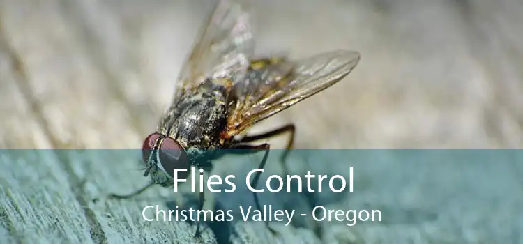 Flies Control Christmas Valley - Oregon