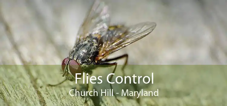 Flies Control Church Hill - Maryland