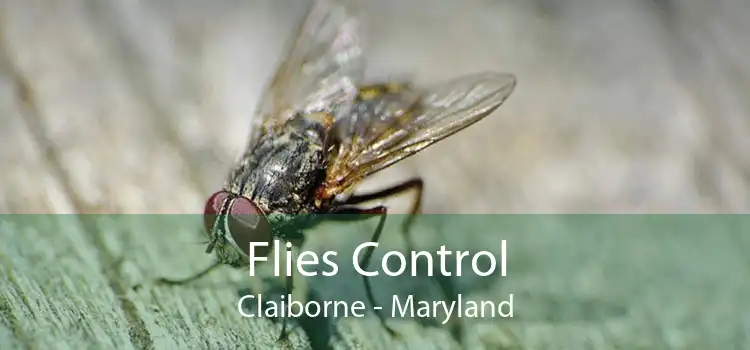 Flies Control Claiborne - Maryland