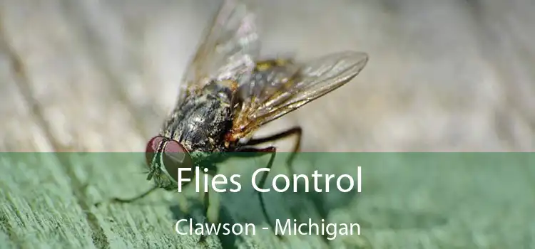 Flies Control Clawson - Michigan