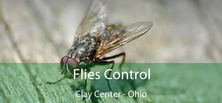 Flies Control Clay Center - Ohio