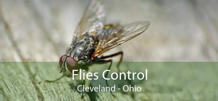 Flies Control Cleveland - Ohio