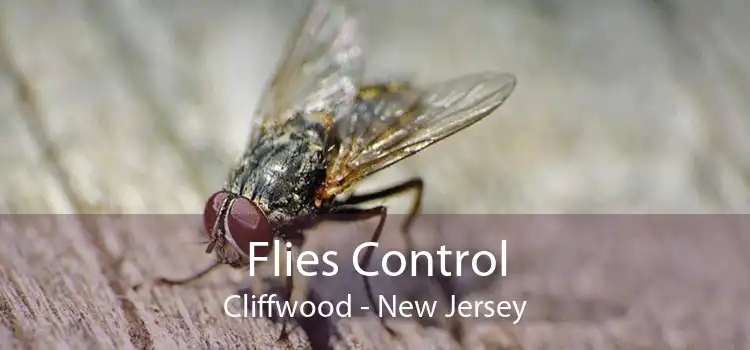 Flies Control Cliffwood - New Jersey