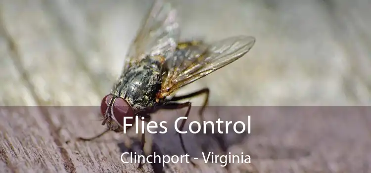 Flies Control Clinchport - Virginia