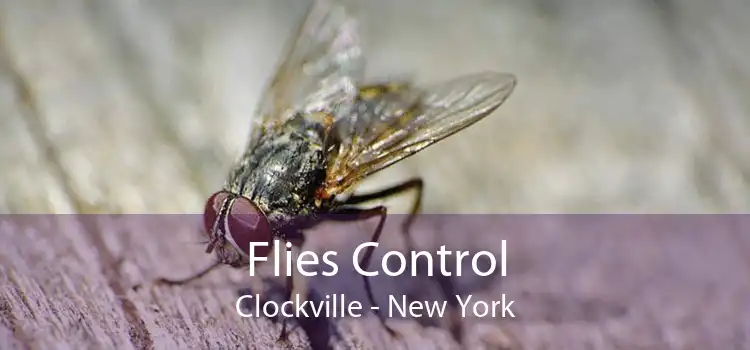 Flies Control Clockville - New York