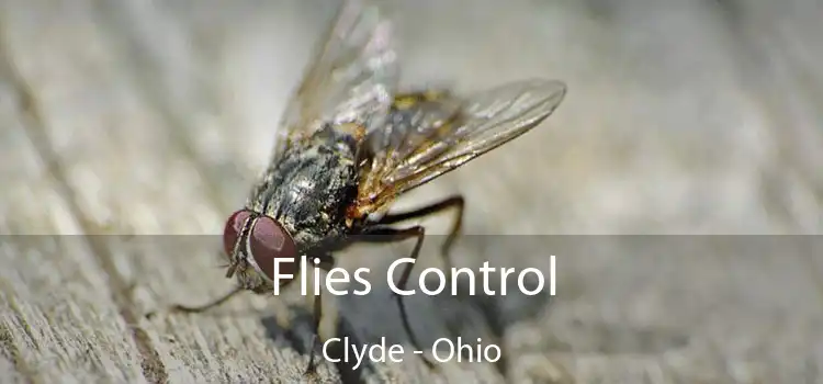 Flies Control Clyde - Ohio