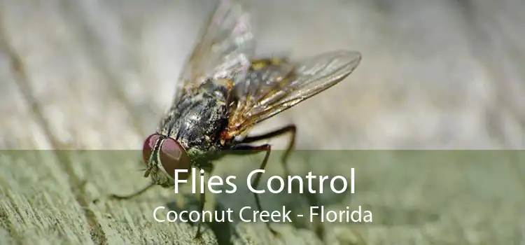 Flies Control Coconut Creek - Florida
