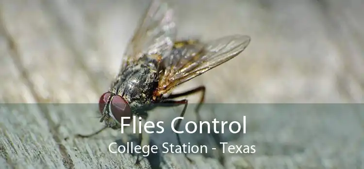 Flies Control College Station - Texas