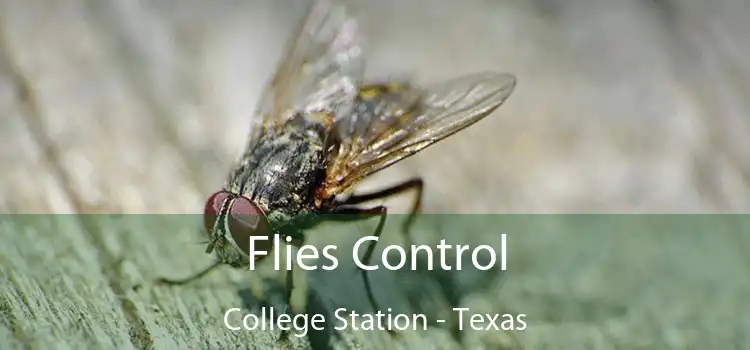 Flies Control College Station - Texas