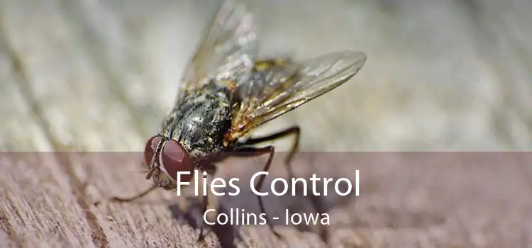 Flies Control Collins - Iowa