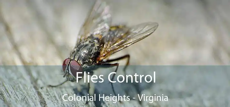 Flies Control Colonial Heights - Virginia