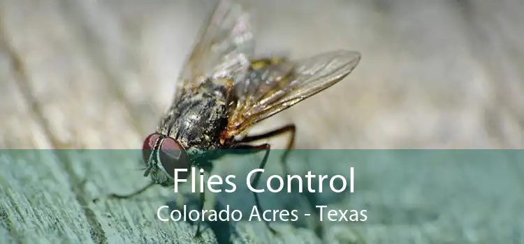 Flies Control Colorado Acres - Texas