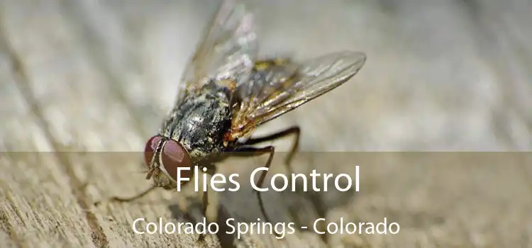 Flies Control Colorado Springs - Colorado