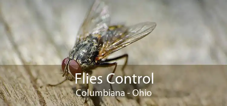 Flies Control Columbiana - Ohio