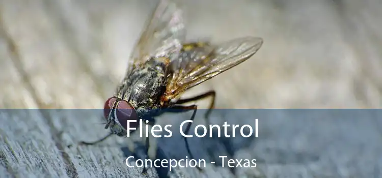 Flies Control Concepcion - Texas