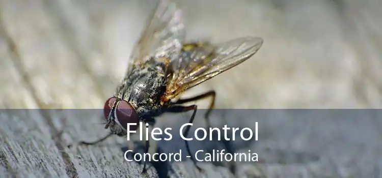 Flies Control Concord - California