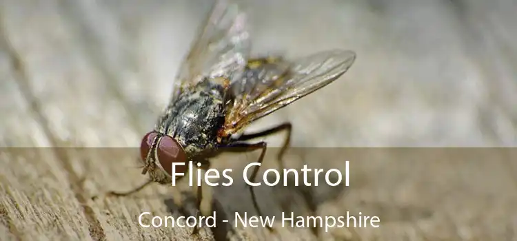 Flies Control Concord - New Hampshire