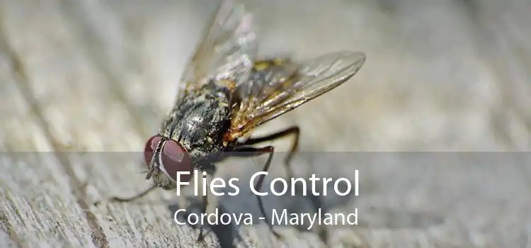 Flies Control Cordova - Maryland