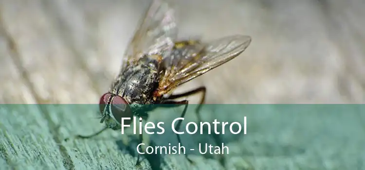 Flies Control Cornish - Utah