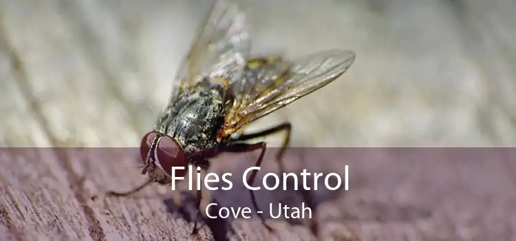 Flies Control Cove - Utah