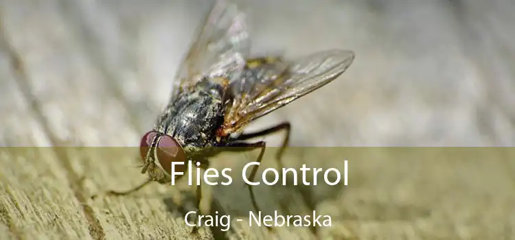 Flies Control Craig - Nebraska