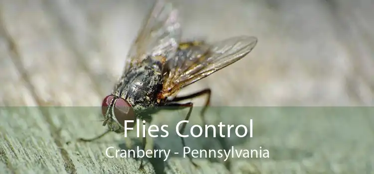 Flies Control Cranberry - Pennsylvania