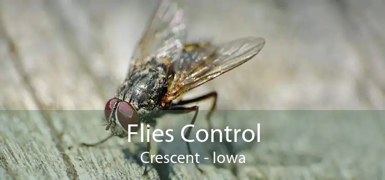 Flies Control Crescent - Iowa