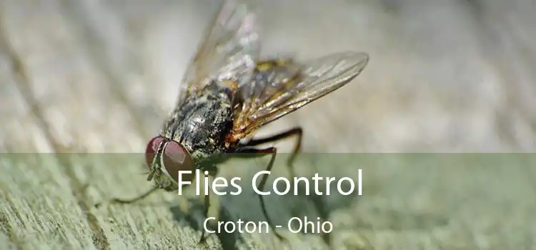 Flies Control Croton - Ohio