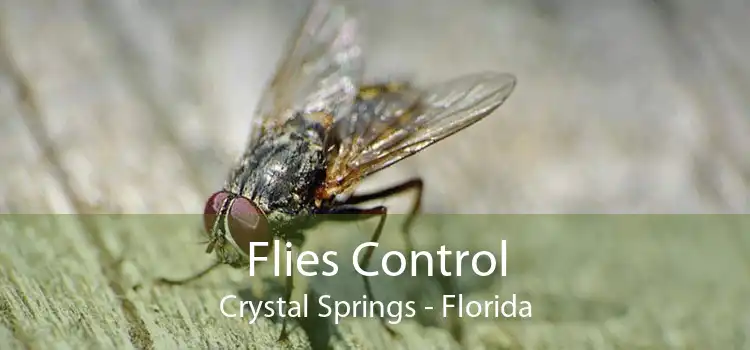 Flies Control Crystal Springs - Florida