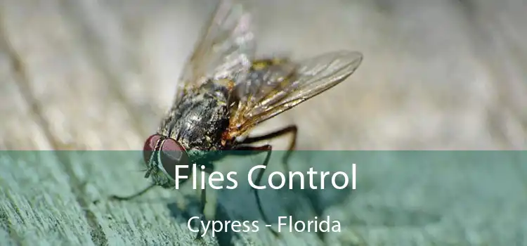 Flies Control Cypress - Florida