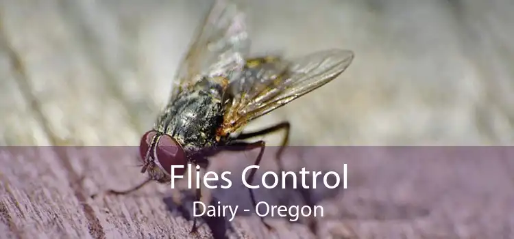 Flies Control Dairy - Oregon