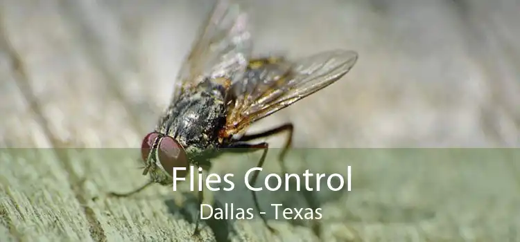 Flies Control Dallas - Texas