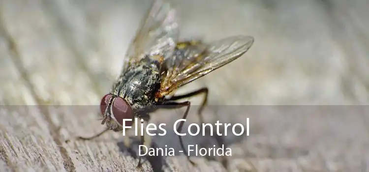 Flies Control Dania - Florida