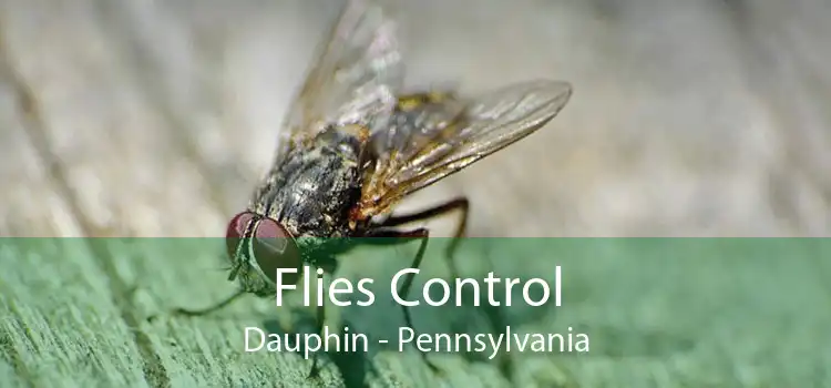 Flies Control Dauphin - Pennsylvania