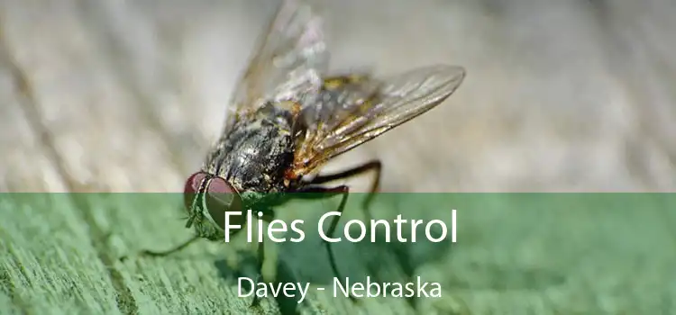 Flies Control Davey - Nebraska