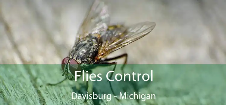 Flies Control Davisburg - Michigan