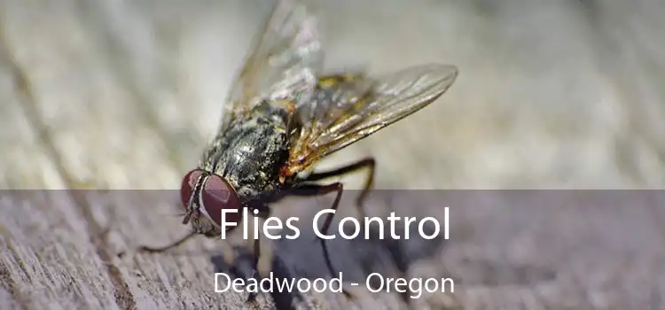 Flies Control Deadwood - Oregon