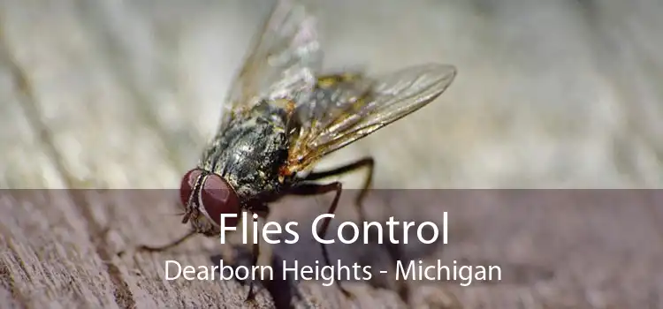 Flies Control Dearborn Heights - Michigan