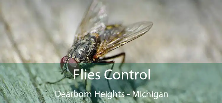 Flies Control Dearborn Heights - Michigan