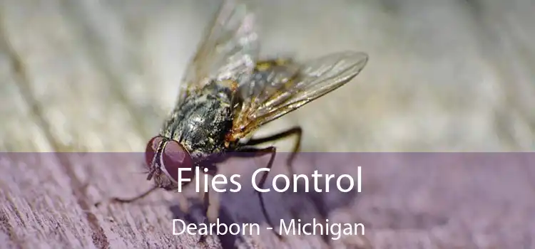 Flies Control Dearborn - Michigan