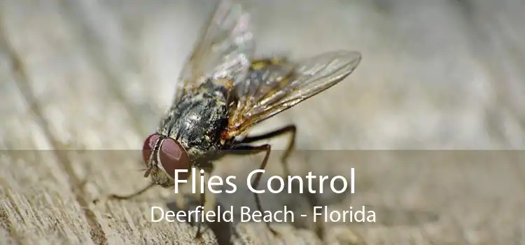 Flies Control Deerfield Beach - Florida