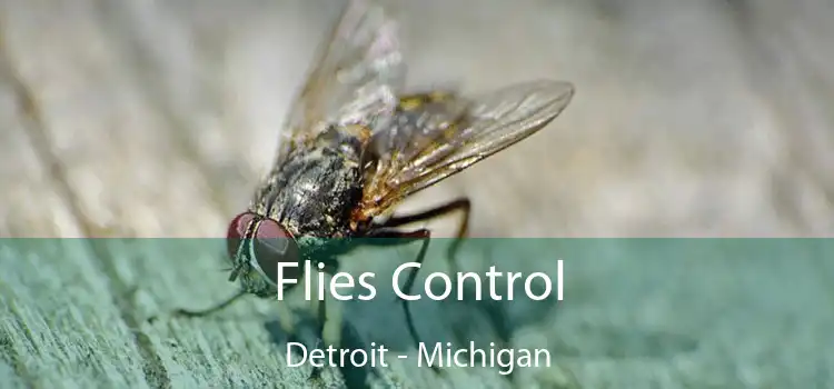 Flies Control Detroit - Michigan